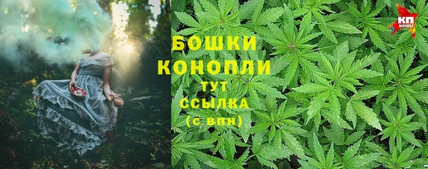 дмт Дмитровск