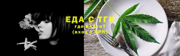 дмт Дмитровск