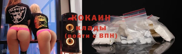 мет Дмитриев