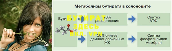дмт Дмитровск