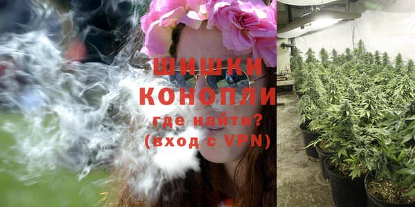 мет Дмитриев