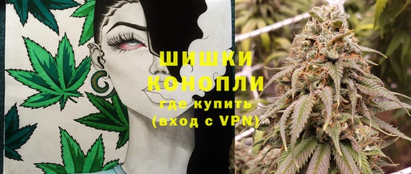дмт Дмитровск