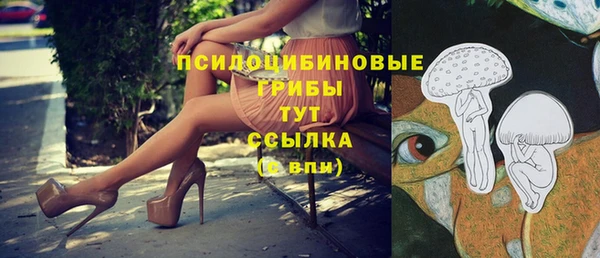 ALPHA-PVP Дмитров